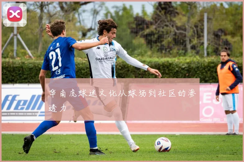 华南虎球迷文化从球场到社区的渗透力