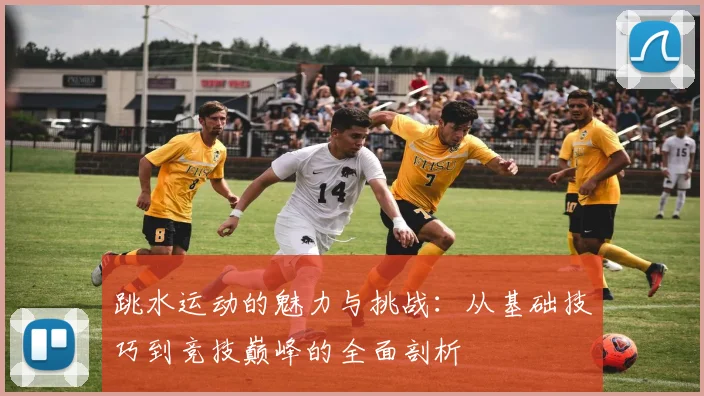 跳水运动的魅力与挑战：从基础技巧到竞技巅峰的全面剖析