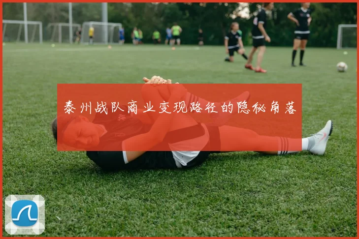 泰州战队商业变现路径的隐秘角落