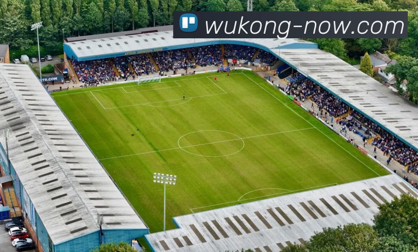 悟空官网品牌故事