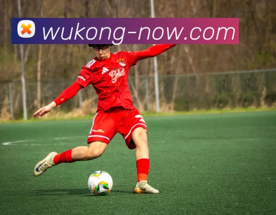 悟空官网服务体系